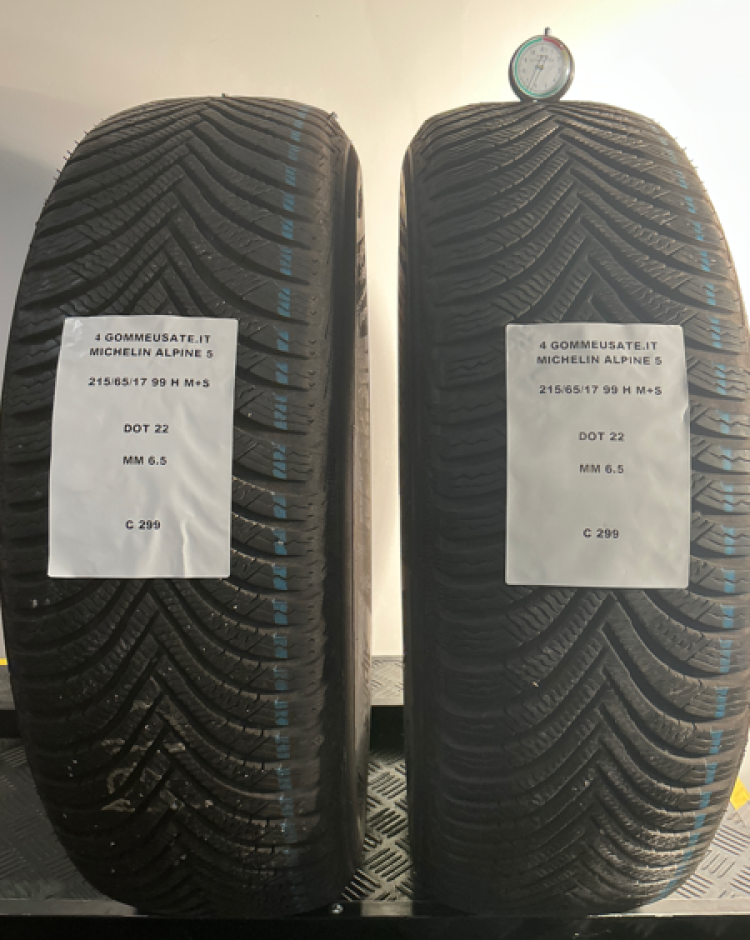 winter-215-65-17-99-H-C299