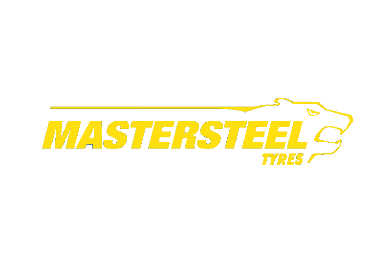 logo mastersteel